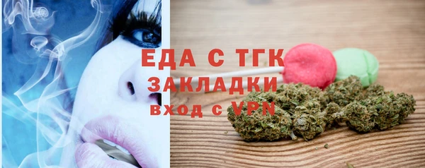 хмурый Аркадак