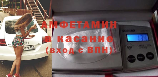 шишки Арсеньев