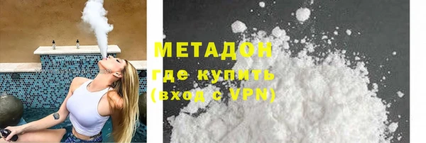 хмурый Аркадак