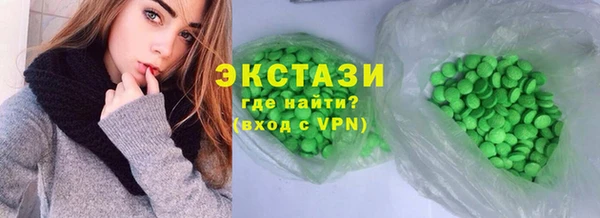 хмурый Аркадак