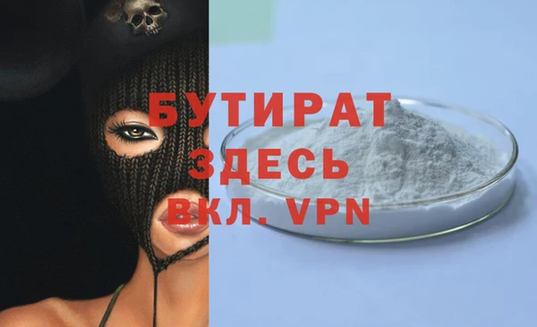 хмурый Аркадак