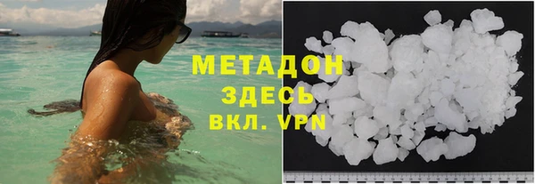 хмурый Аркадак