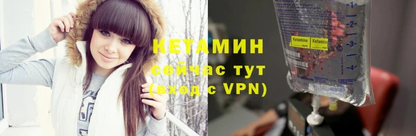 хмурый Аркадак