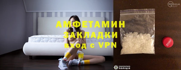 хмурый Аркадак
