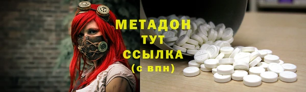 шишки Арсеньев