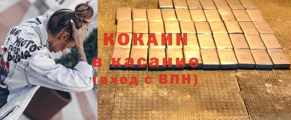 хмурый Аркадак
