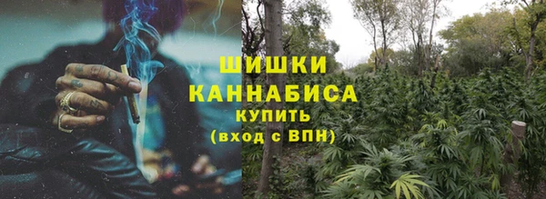 шишки Арсеньев