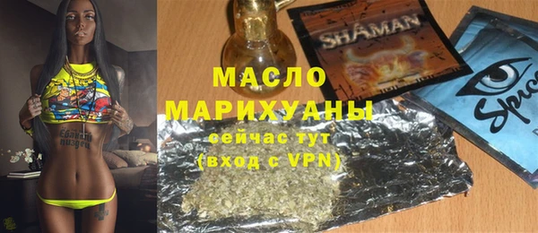 хмурый Аркадак