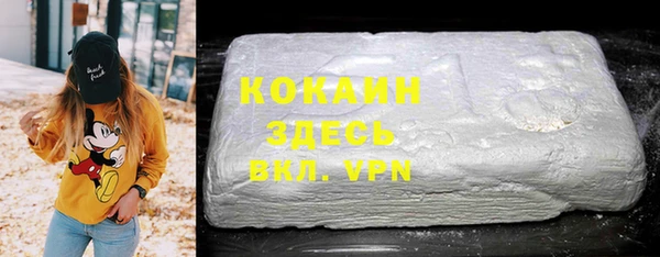 шишки Арсеньев