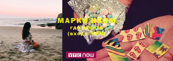 шишки Арсеньев