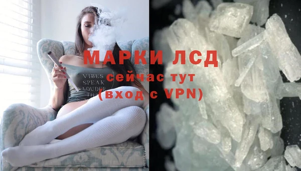 хмурый Аркадак