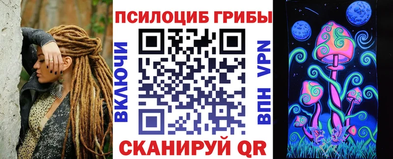 гидра ТОР  Тейково  Псилоцибиновые грибы Cubensis 